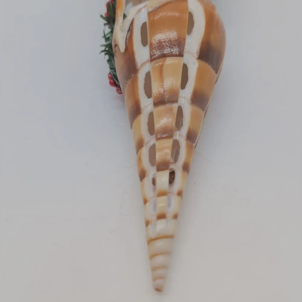 Hawaiian Carved Shell Hula Girl  Ornament Oxymeris Maculata